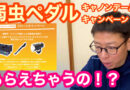 キャノンデール　４つのキャンペーンを同時に開催！！　弱虫ペダルとのコラボもあります！！
