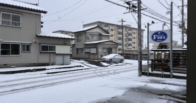 ２０２５年もありがとうございました